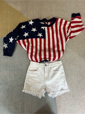 Forever 21 Red White Navy American Flag Crewneck Sweater